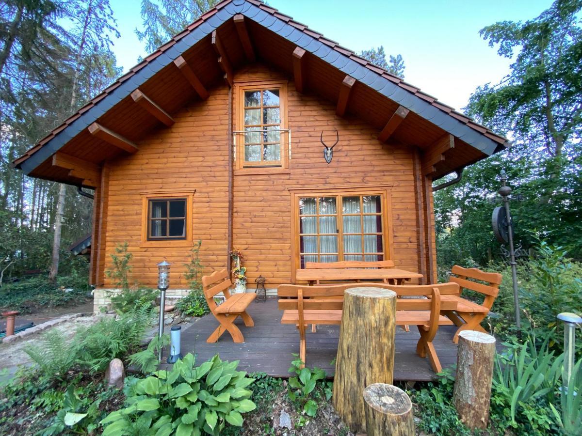 Waldhaus Eichhoernchen Bad Schmiedeberg Exterior foto